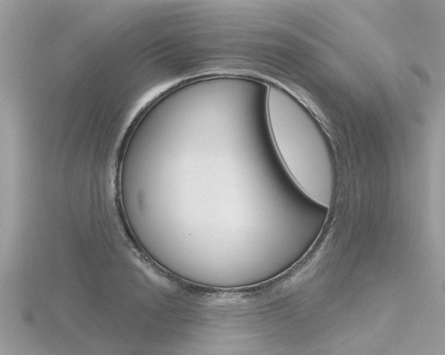 X0000116550846200912101001