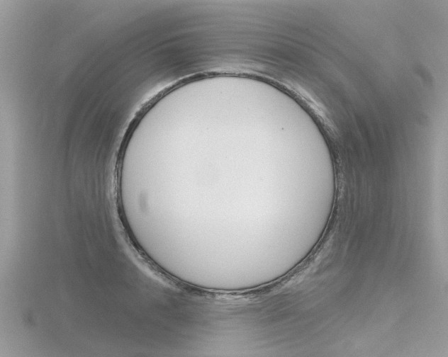 X0000116550848200912101001