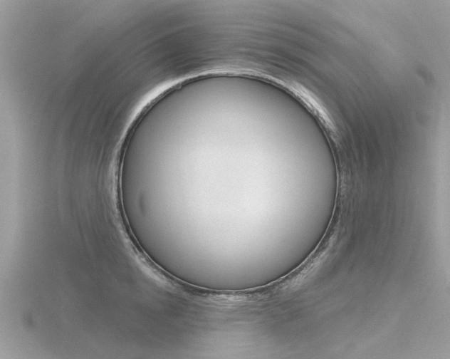 X0000116550854200912101001