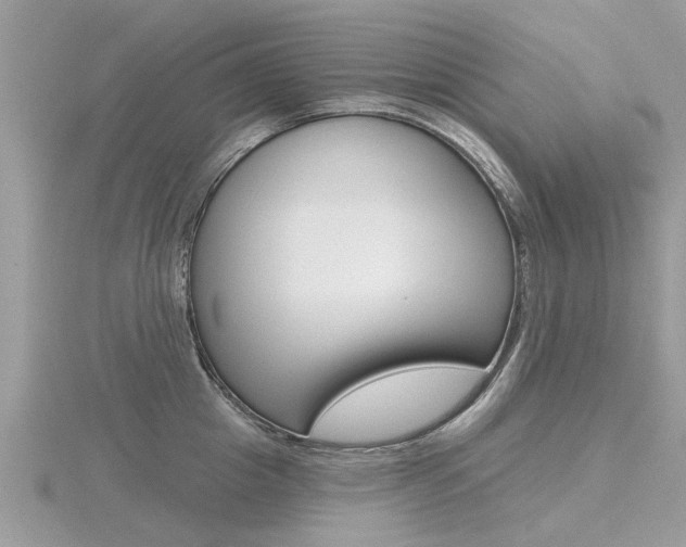 X0000116550857200912101001