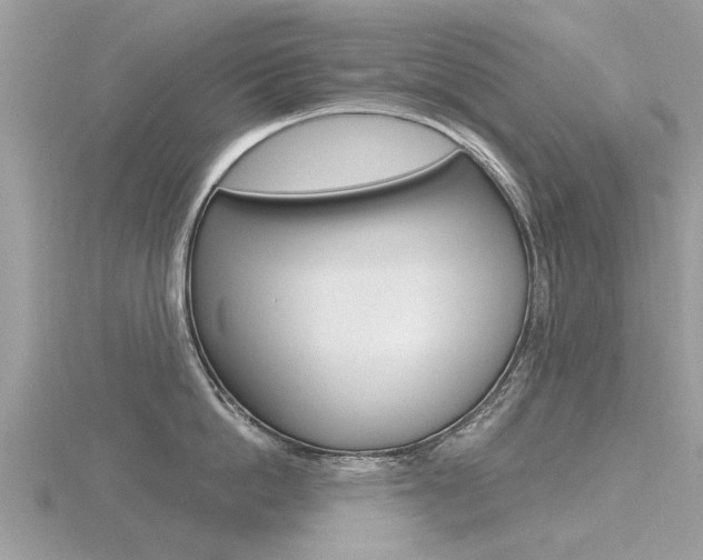 X0000116550862200912101001