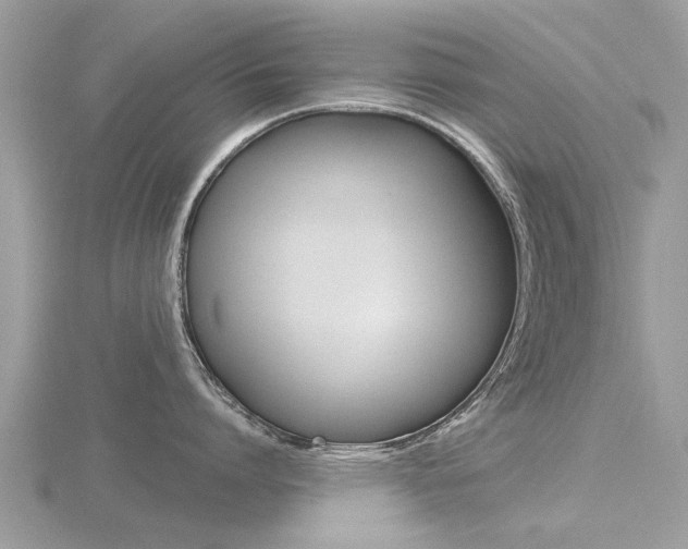 X0000116550864200912101001