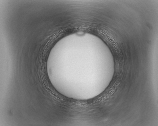 X0000116550865200912101001