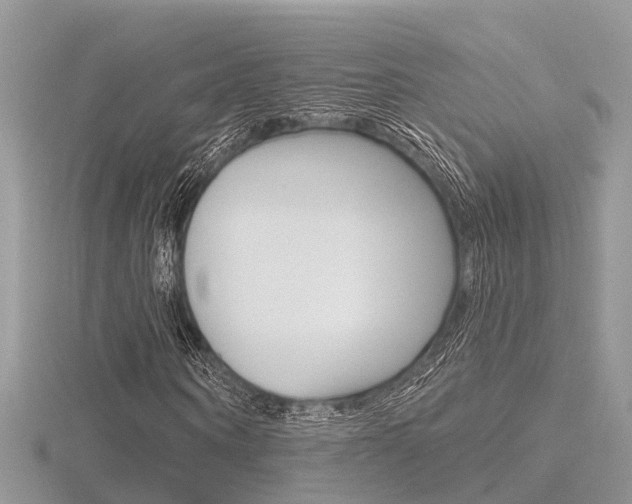 X0000116550866200912101001