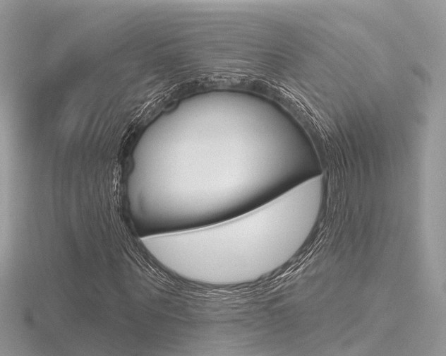 X0000116550867200912101001