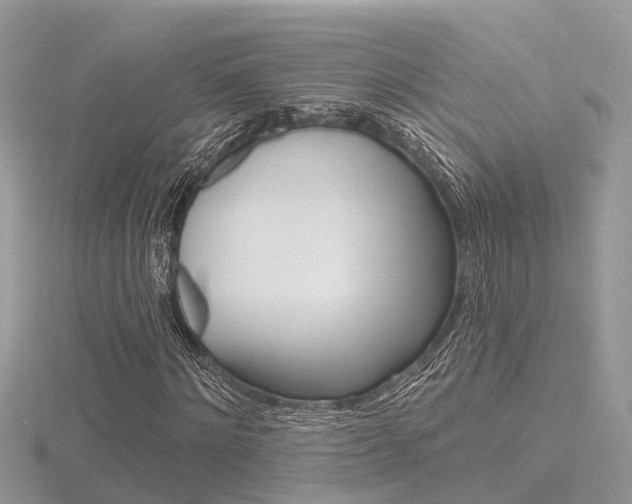 X0000116550868200912101001