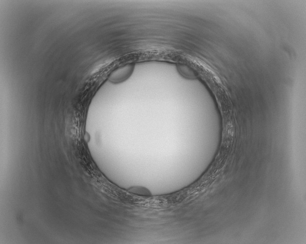 X0000116550869200912101001