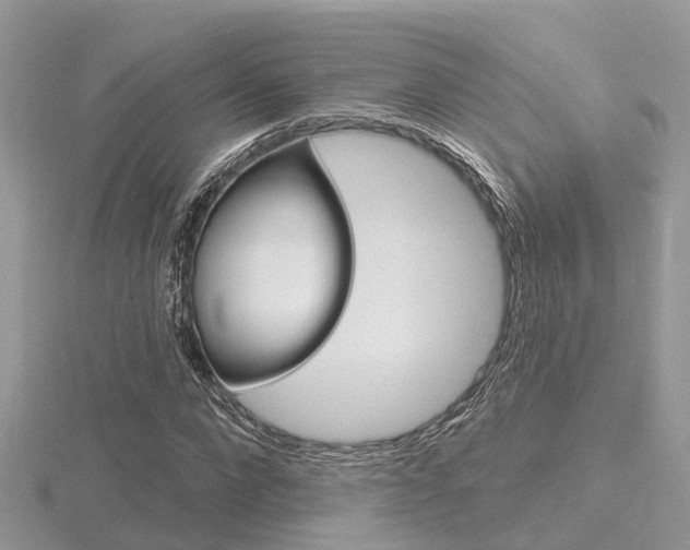X0000116550872200912101001