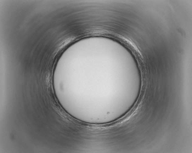 X0000116550873200912101001
