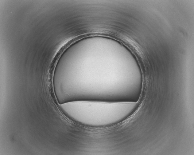 X0000116550875200912101001