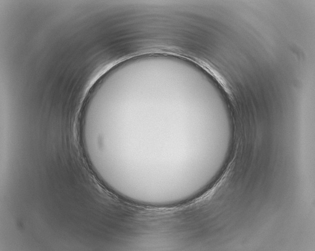 X0000116550877200912101001