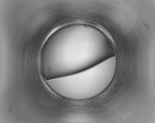 X0000116550911200912101000