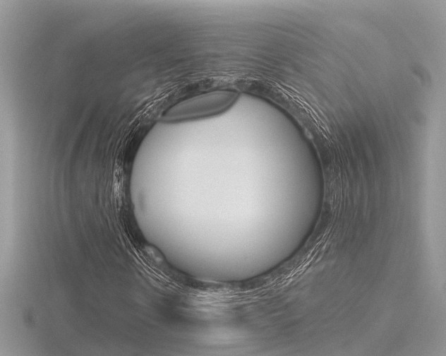 X0000116550914200912101000