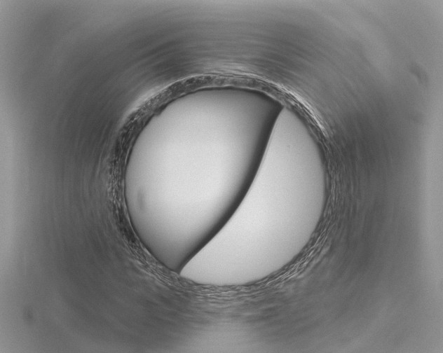 X0000116550919200912101000