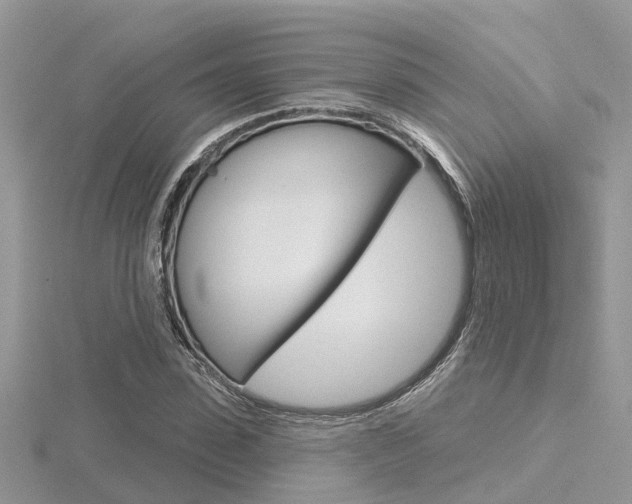 X0000116550923200912101000