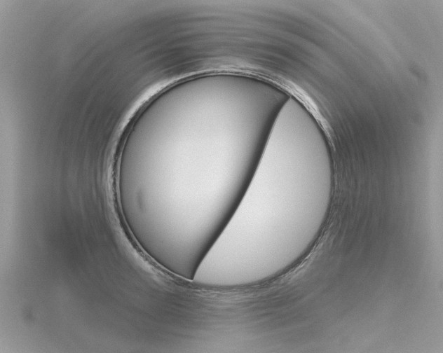 X0000116550947200912101000