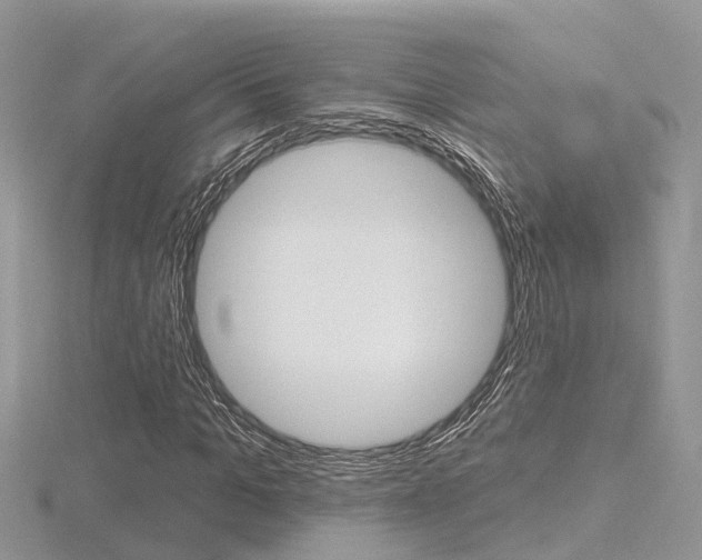 X0000116550965200912100959