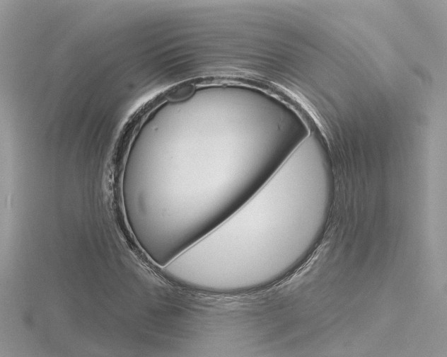 X0000116550971200912100959