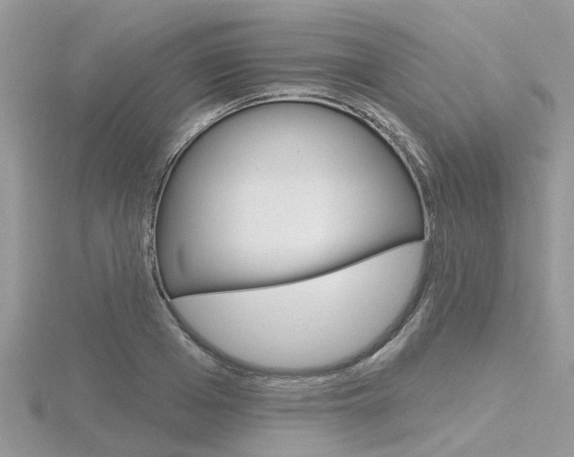 X0000116550985200912100959