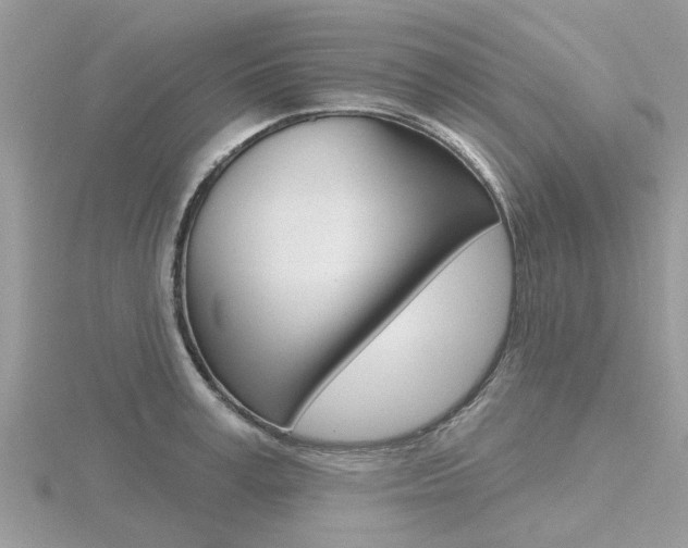 X0000116550995200912100959