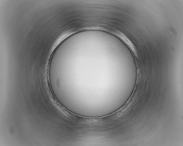X0000116551002200912100959