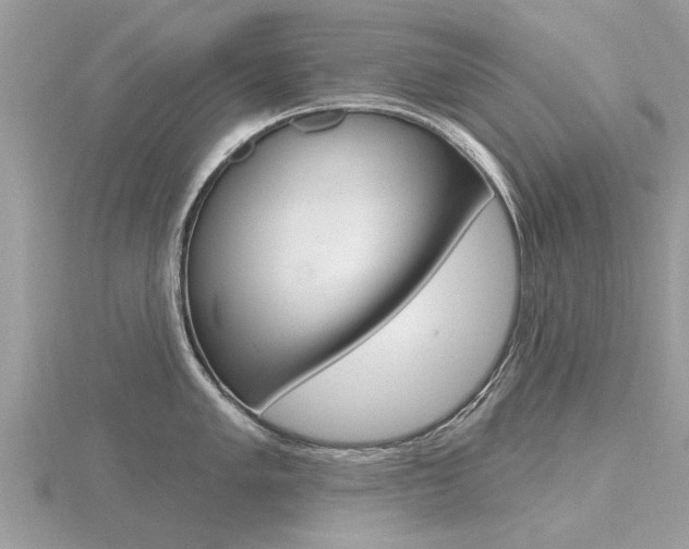 X0000116551005200912100959