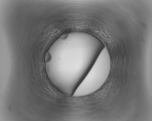 X0000116551009200912100958