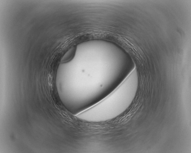 X0000116551010200912100958