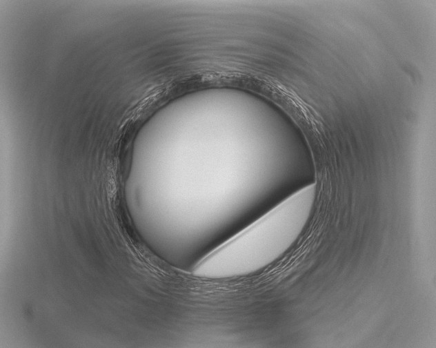X0000116551012200912100958