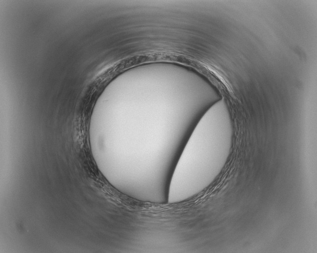 X0000116551015200912100958