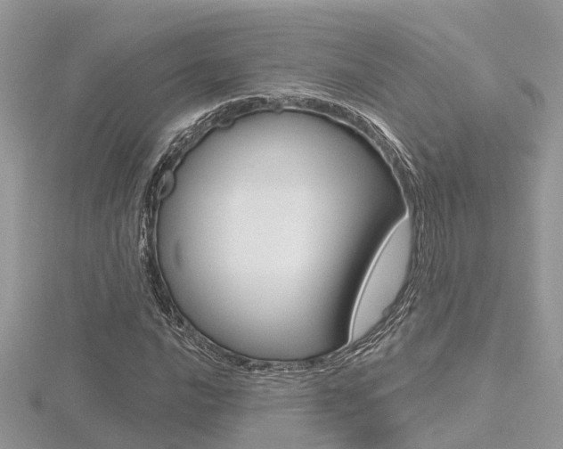 X0000116551016200912100958