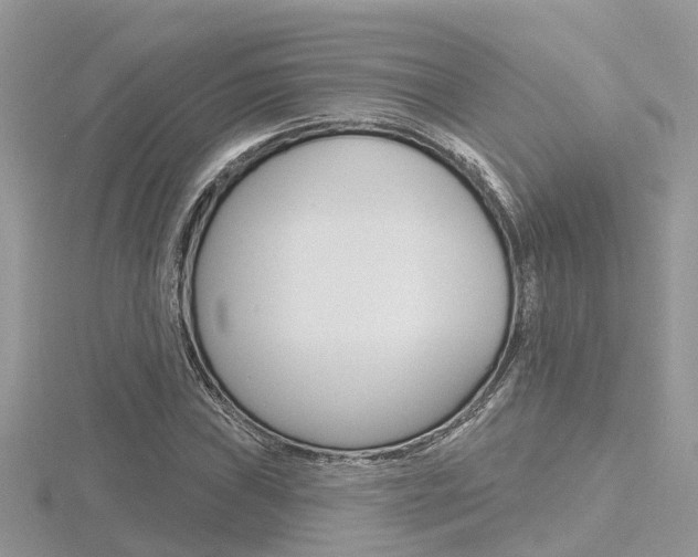 X0000116551019200912100958