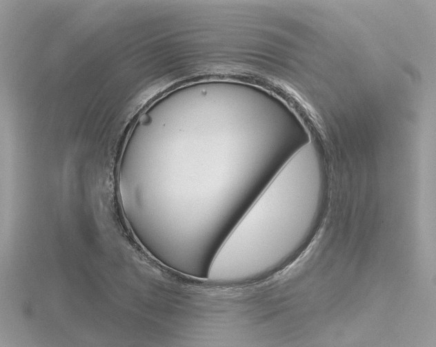X0000116551025200912100958