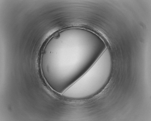 X0000116551026200912100959