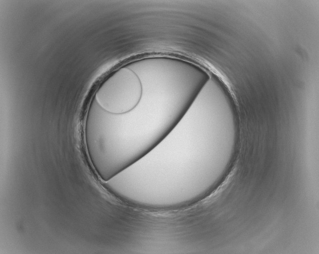 X0000116551029200912100959