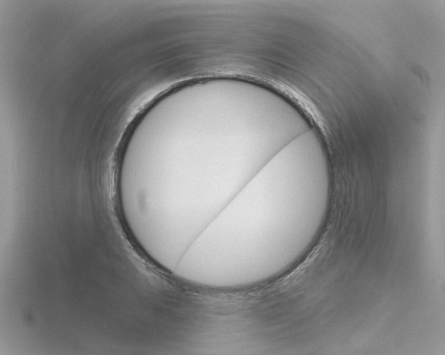 X0000116551031200912100959