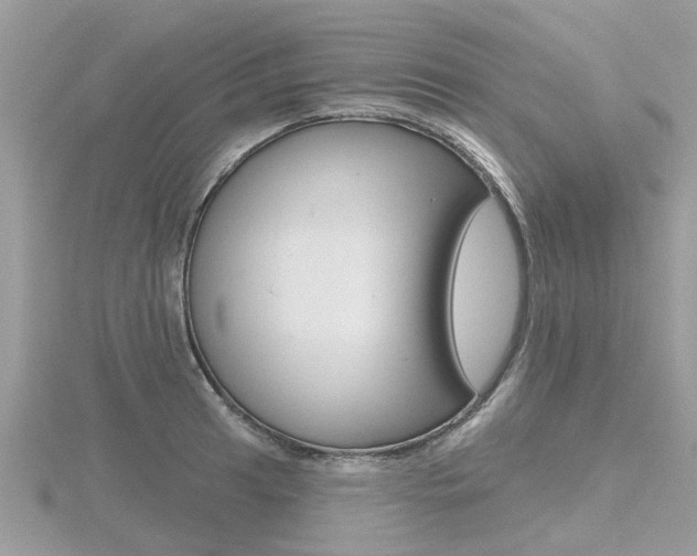 X0000116551041200912100959