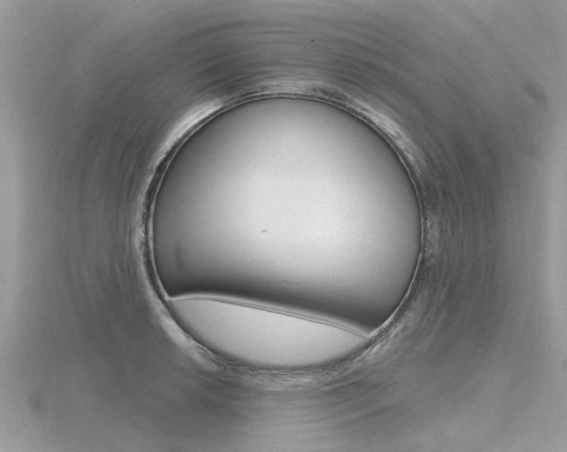 X0000116551042200912100959