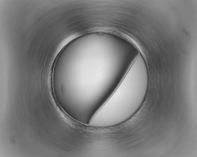 X0000116551050200912100959