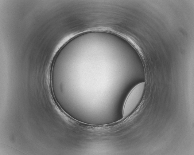 X0000116551054200912100959