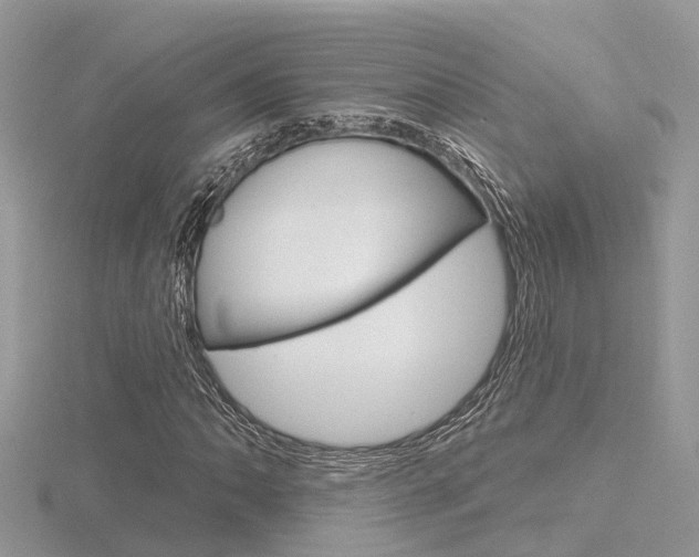 X0000116551062200912100958