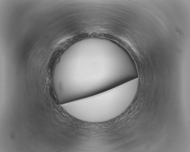 X0000116551063200912100958