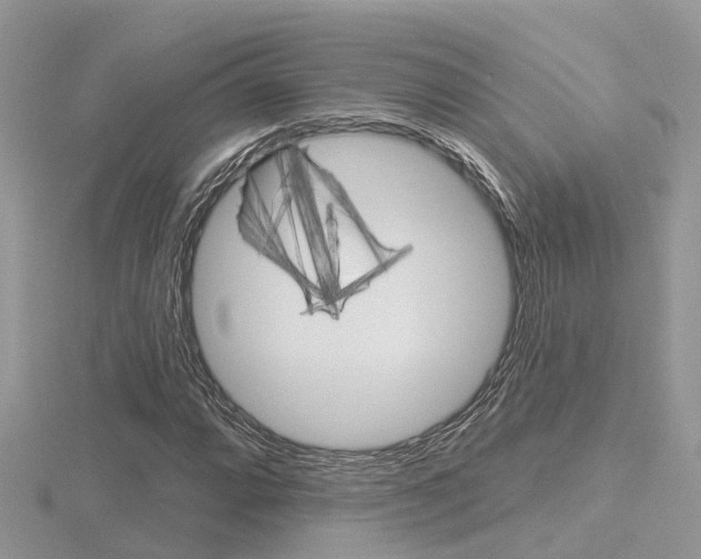 X0000116551064200912100958