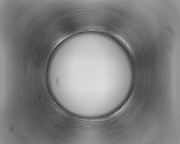 X0000116551065200912100958