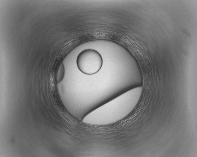X0000116551106200912100957