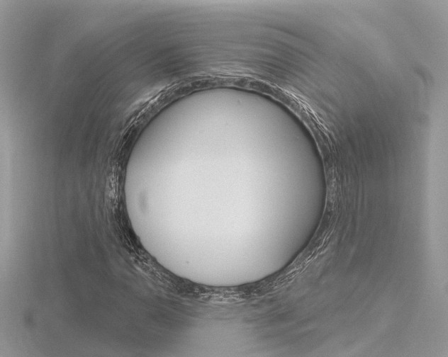 X0000116551110200912100957