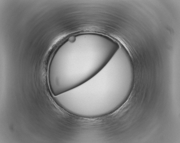 X0000116551115200912100957
