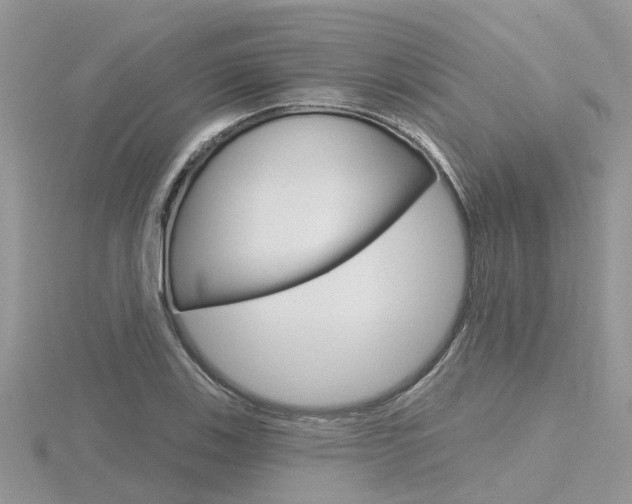 X0000116551123200912100957