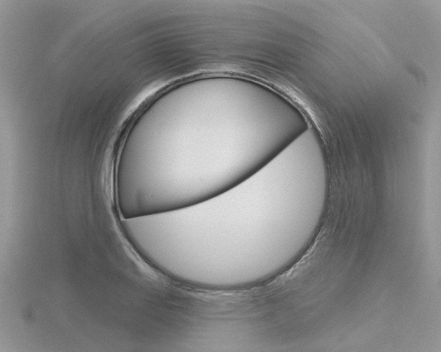 X0000116551127200912100957