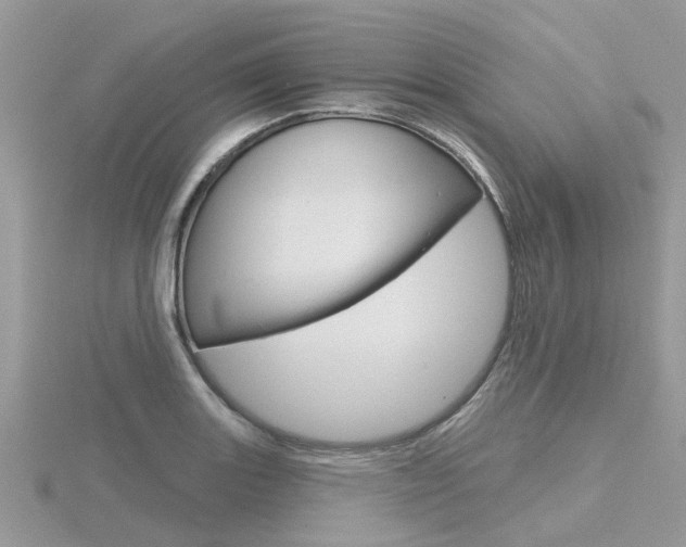 X0000116551131200912100957